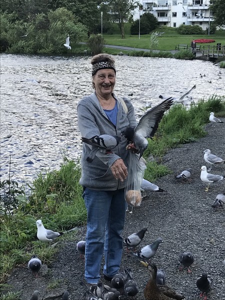 Klikk for å se forhåndsvisning